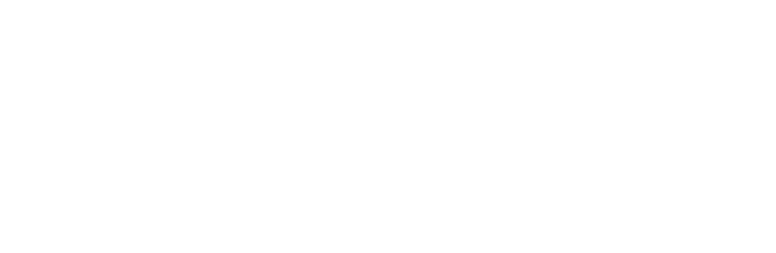 SiegTech
